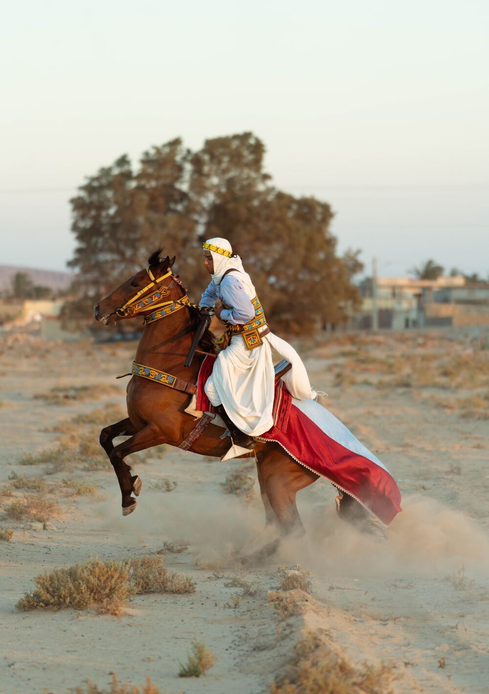 المبادئ